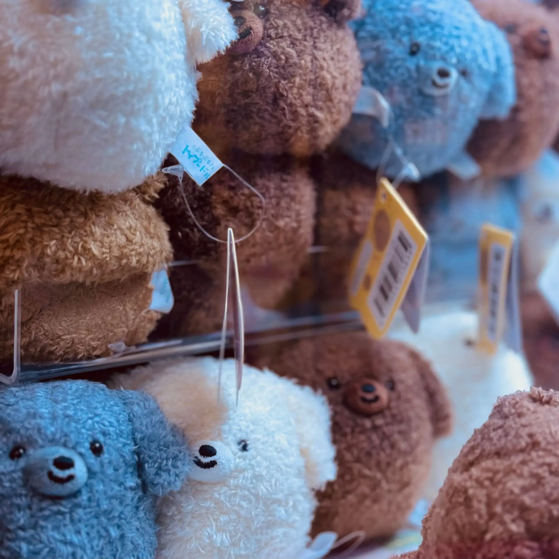 Plushies of dogs in a Japanese Claw Machine